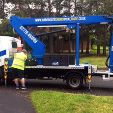 Our Ascendant 18-13 Cherry Picker